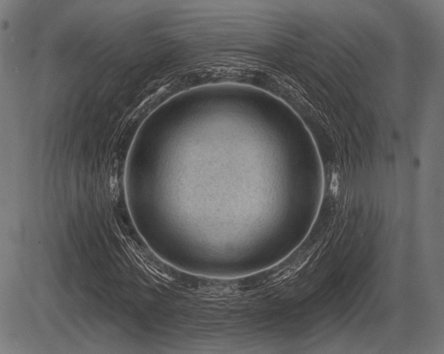 X0000083610771200702121114