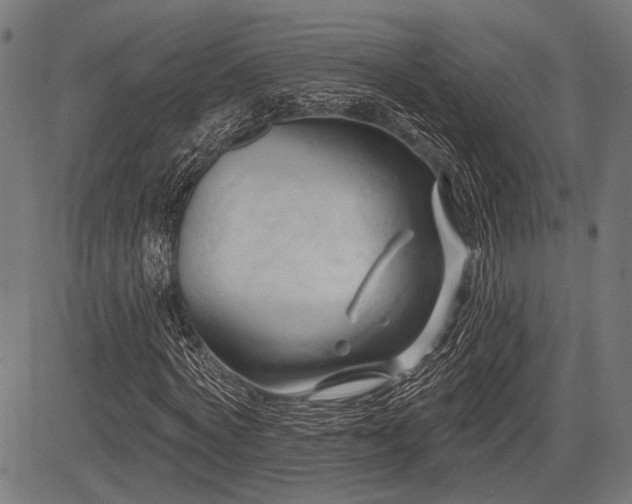 X0000083610772200702121114