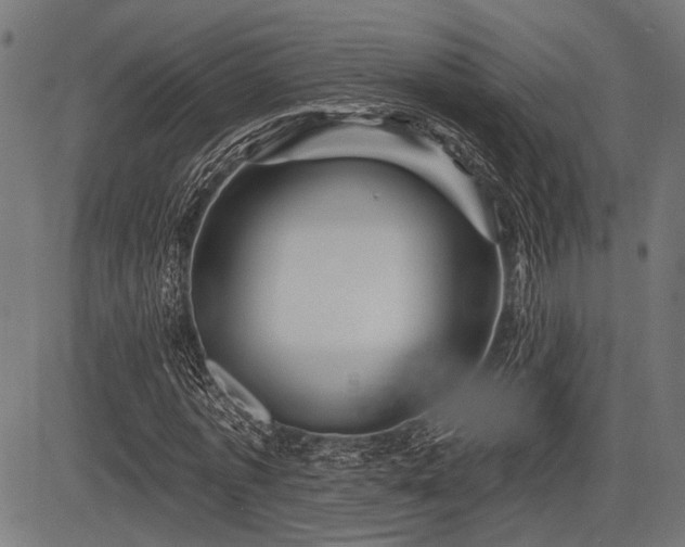 X0000083610773200702121114