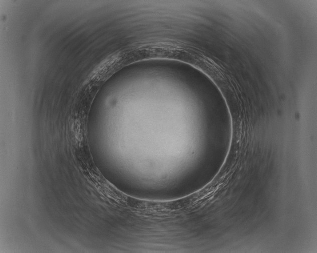 X0000083610774200702121114