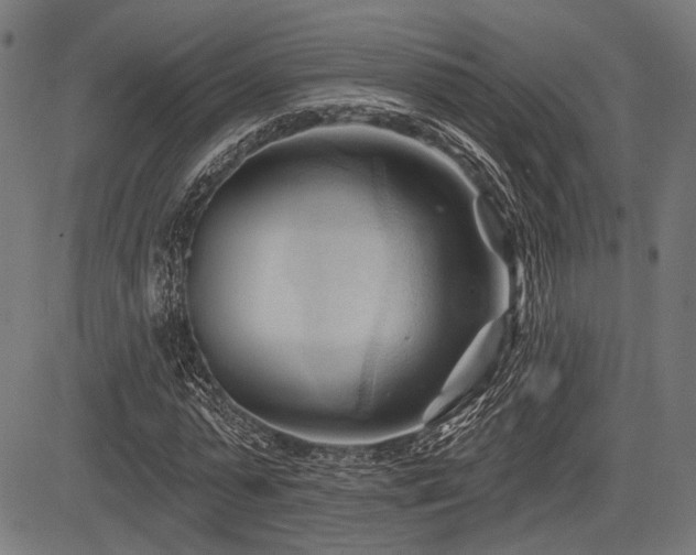 X0000083610775200702121114