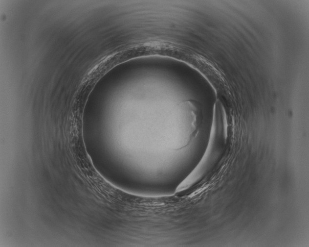 X0000083610776200702121114