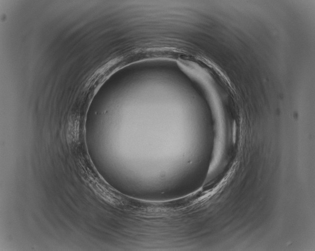 X0000083610777200702121114