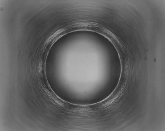 X0000083610778200702121114