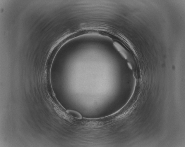 X0000083610779200702121114