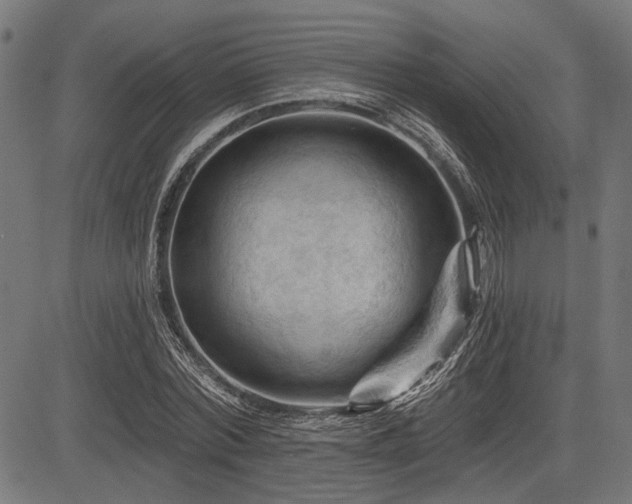 X0000083610780200702121114