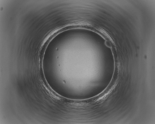 X0000083610781200702121114