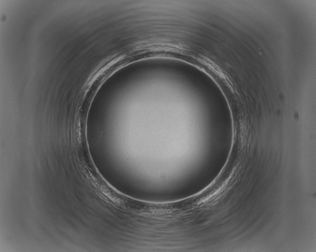 X0000083610782200702121114