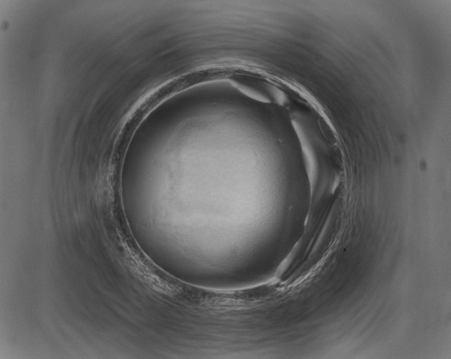 X0000083610783200702121114