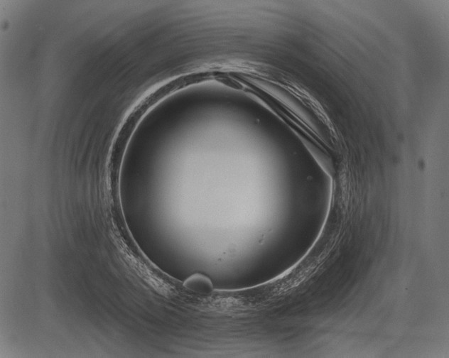 X0000083610784200702121114