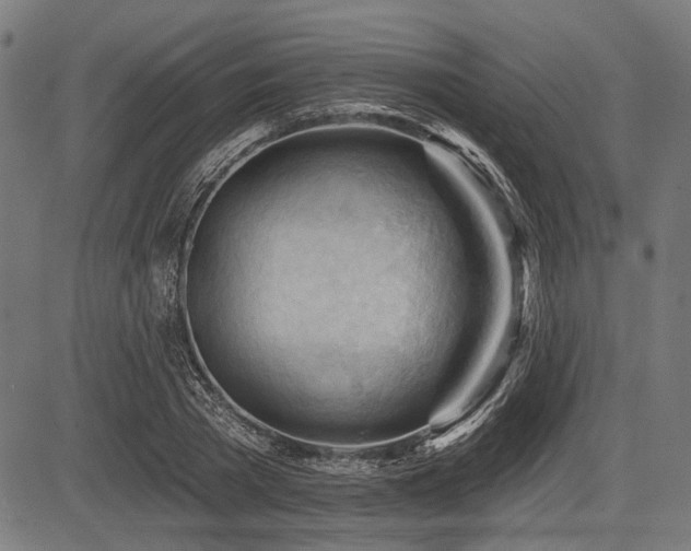 X0000083610785200702121114