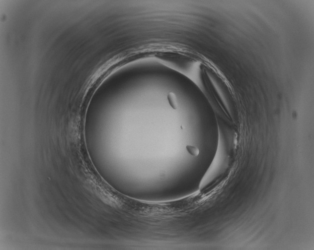 X0000083610786200702121114