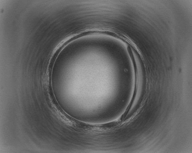 X0000083610787200702121114