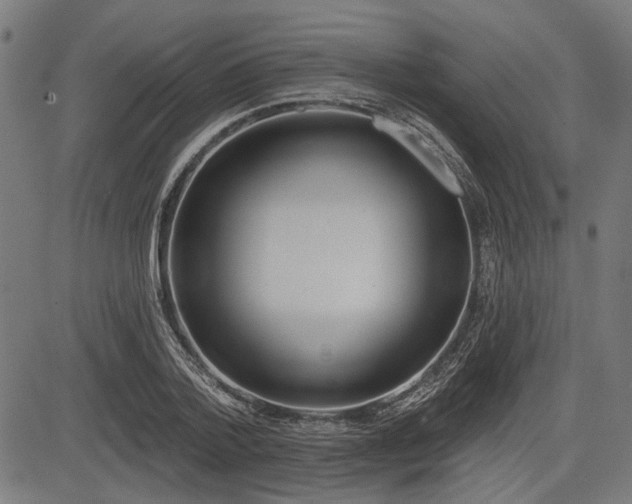 X0000083610788200702121114