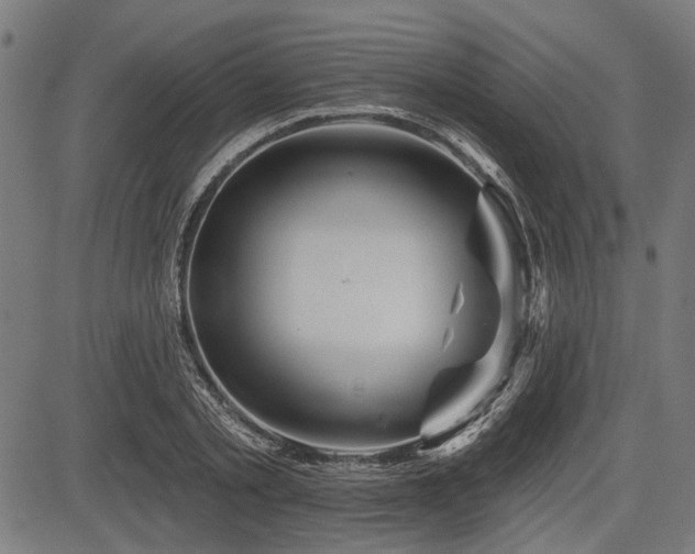 X0000083610789200702121114