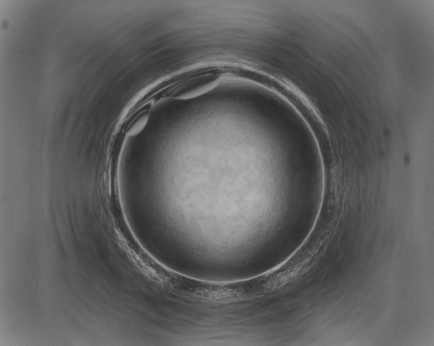 X0000083610791200702121114