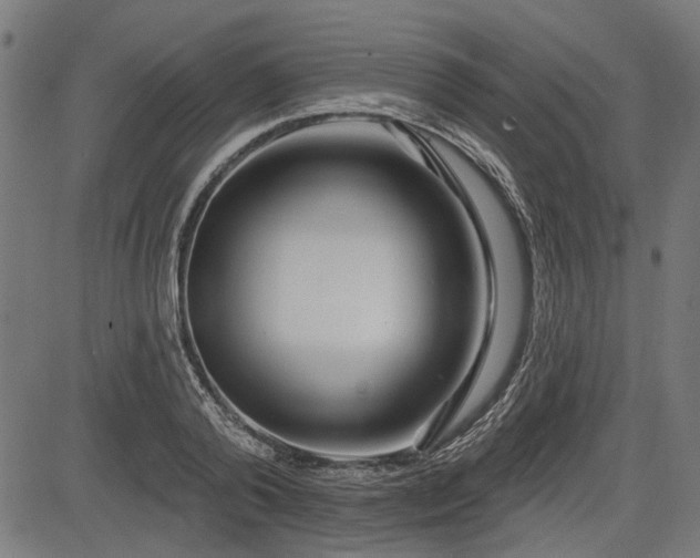 X0000083610792200702121114