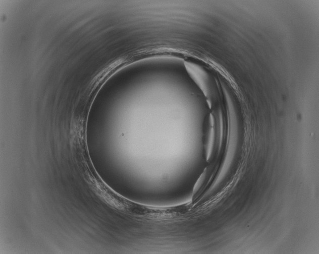 X0000083610793200702121114