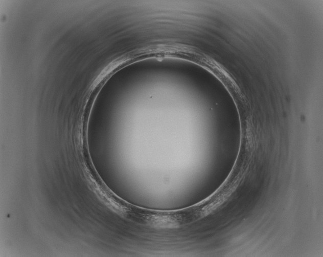 X0000083610794200702121114