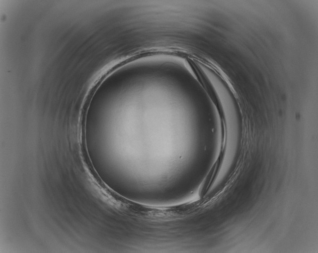 X0000083610795200702121114