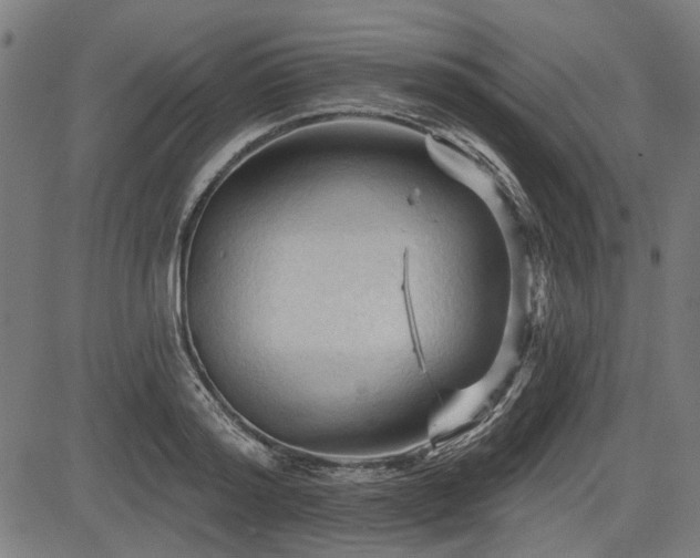 X0000083610796200702121114