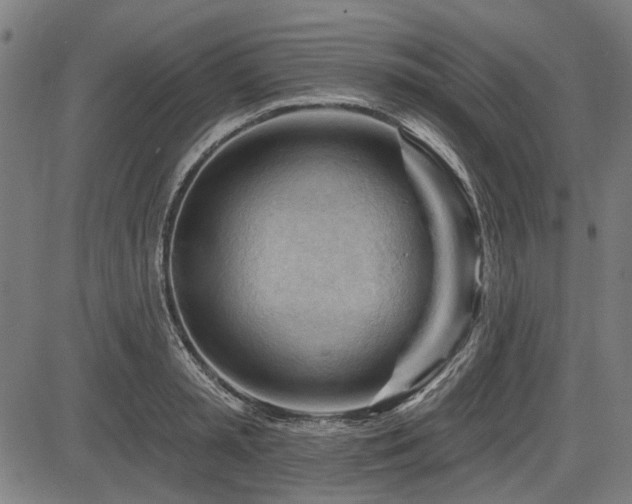 X0000083610797200702121114