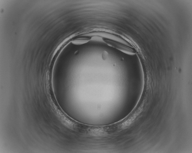 X0000083610798200702121114