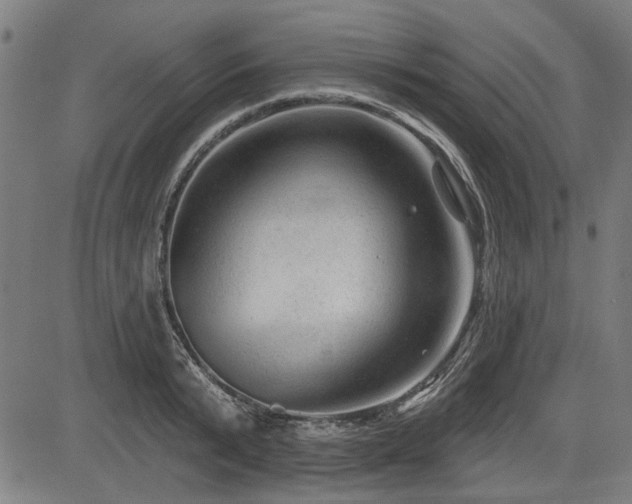 X0000083610799200702121114