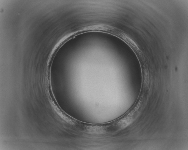 X0000083610800200702121114