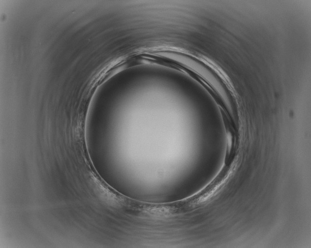 X0000083610801200702121114