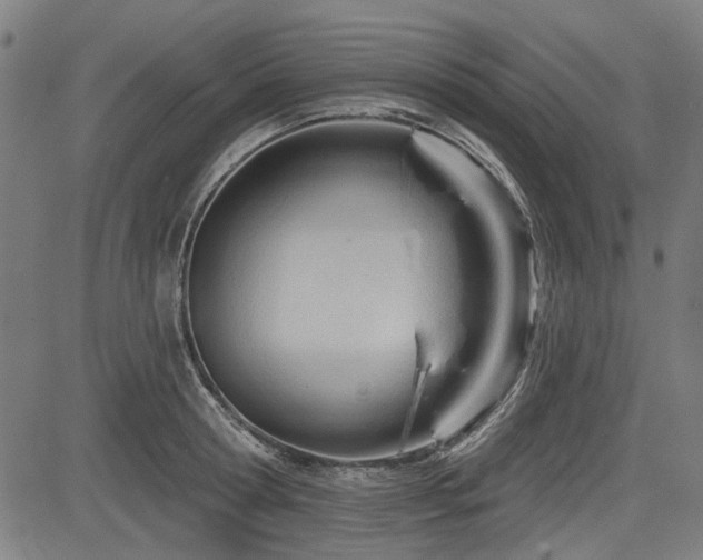 X0000083610802200702121114