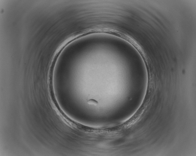 X0000083610803200702121114