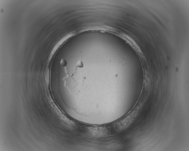 X0000083610804200702121114