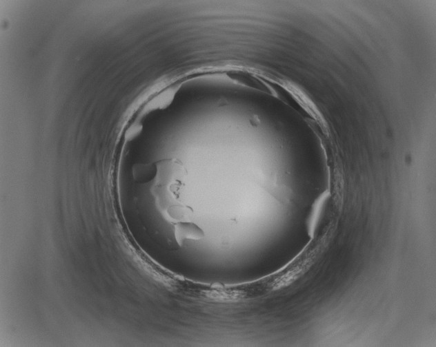 X0000083610805200702121114