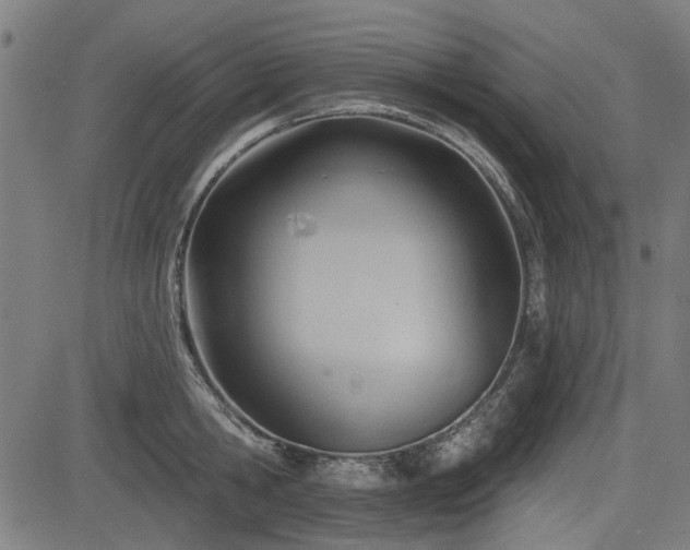 X0000083610806200702121114