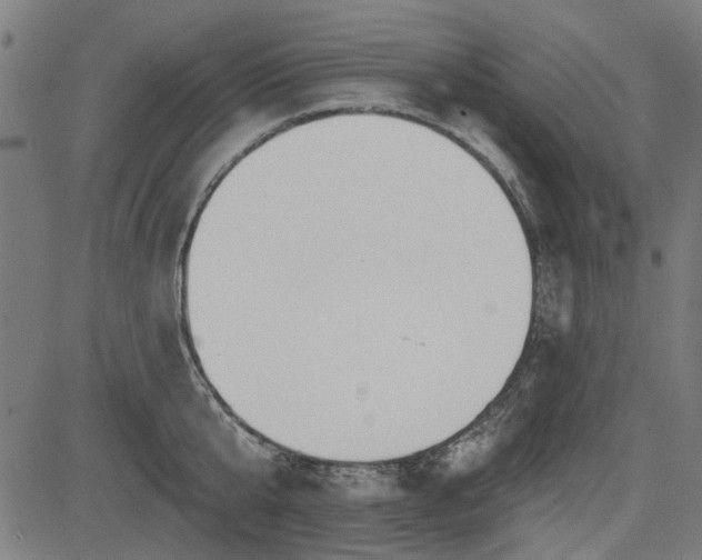 X0000083610807200702121114