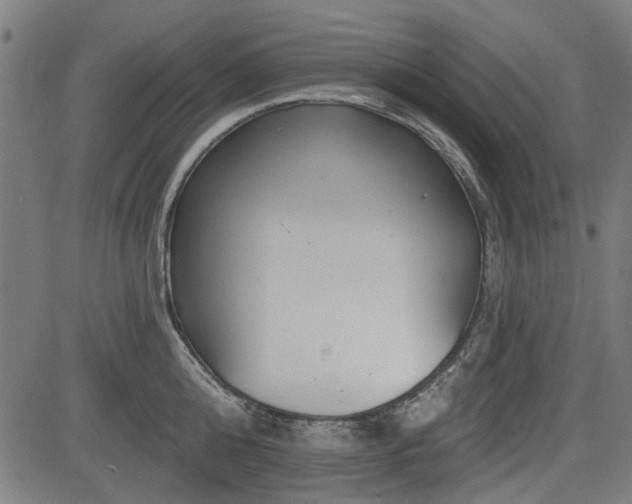 X0000083610808200702121114