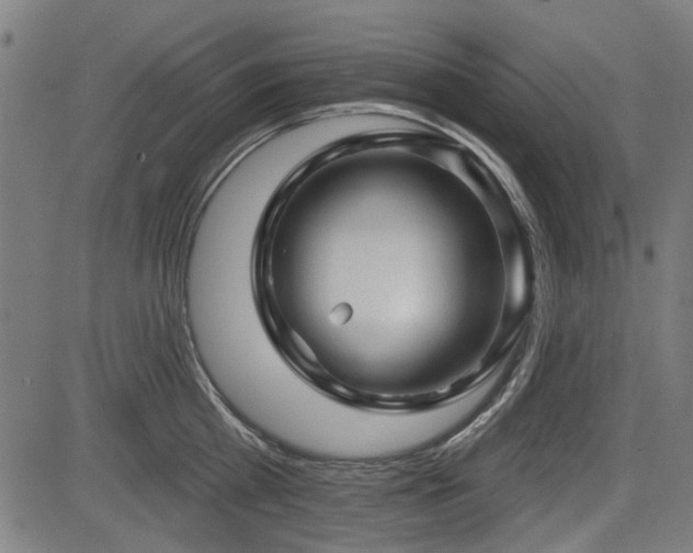 X0000083610809200702121114