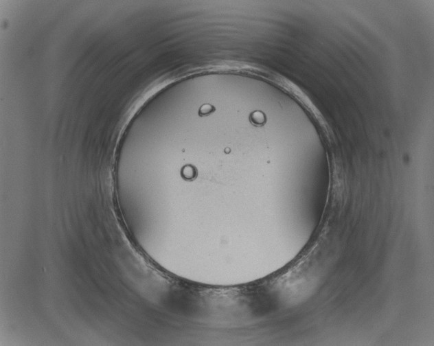 X0000083610810200702121114