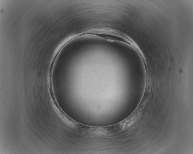 X0000083610811200702121114