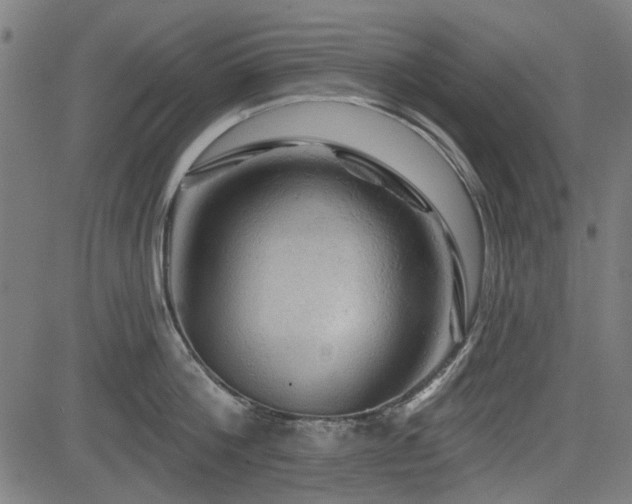 X0000083610812200702121114