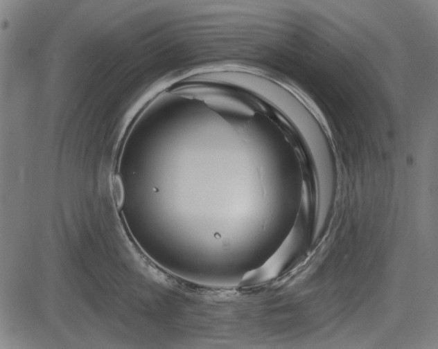 X0000083610813200702121113