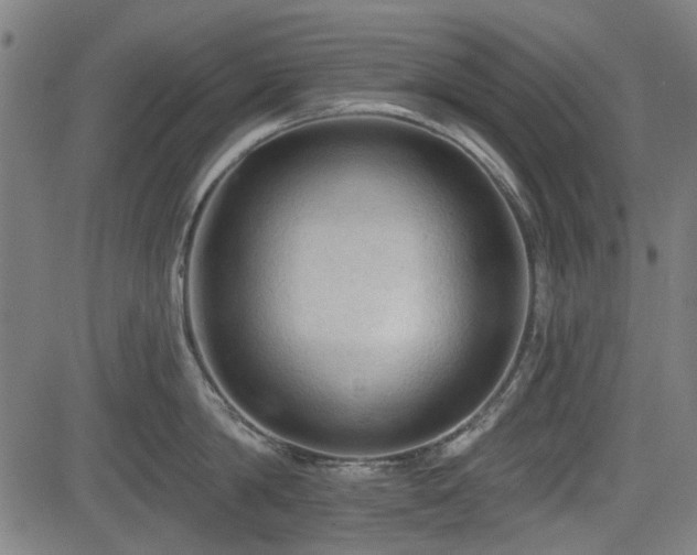 X0000083610814200702121113