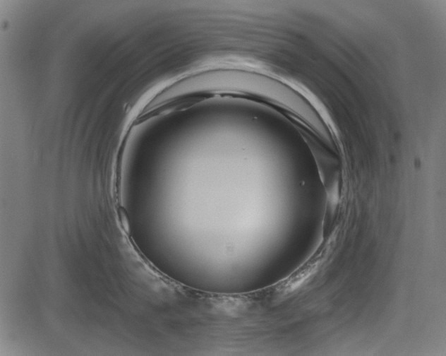 X0000083610815200702121113