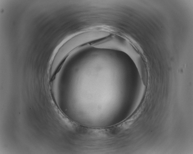 X0000083610816200702121113