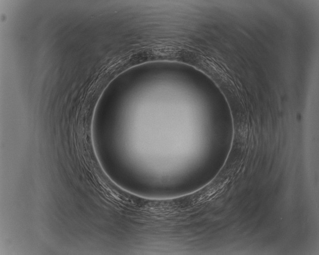 X0000083610817200702121113