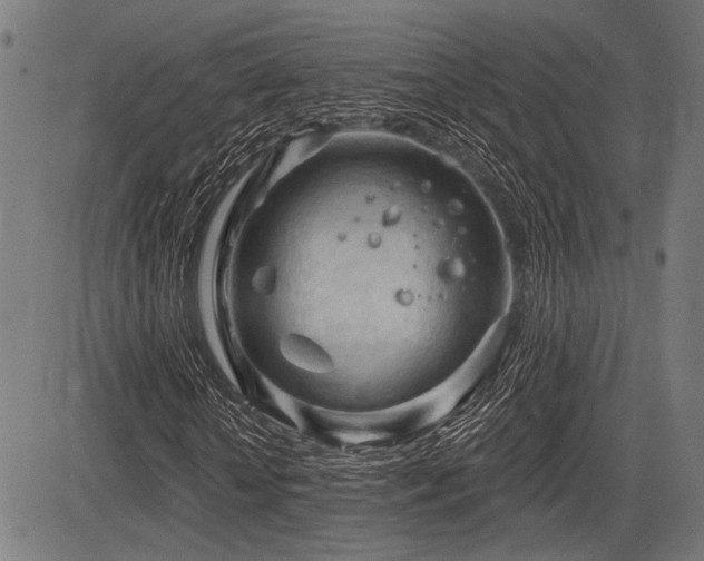 X0000083610818200702121113