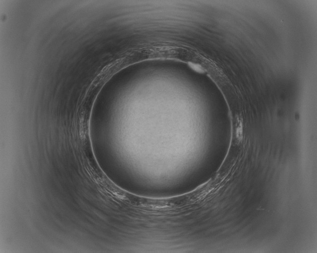 X0000083610819200702121113