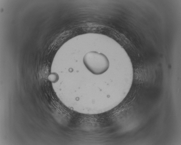 X0000083610820200702121113