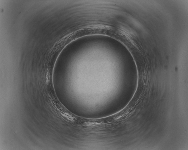 X0000083610821200702121113